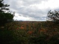 IMG_0013