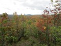 IMG_0015