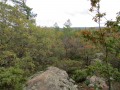 IMG_0017