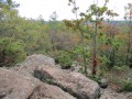 IMG_0020