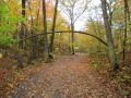 IMG_0025