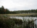 IMG_0028