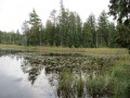 IMG_0030