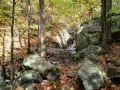 IMG_0051