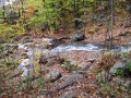 IMG_0062