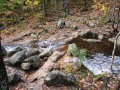 IMG_0064