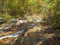 IMG_0067