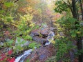 IMG_0070