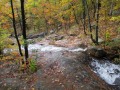 IMG_0072