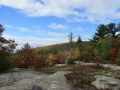 IMG_0078
