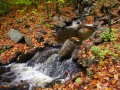 IMG_0079
