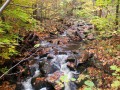 IMG_0081
