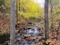 IMG_0087