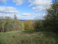 IMG_0099