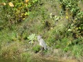 IMG_0101