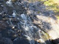 IMG_0114