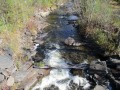IMG_0116