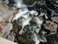 IMG_0118
