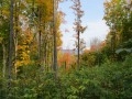 IMG_0124