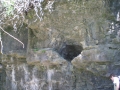P7230007